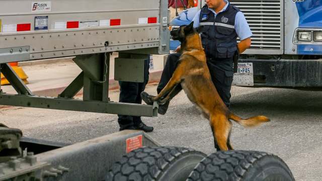 Agents at the California border have noticed an alarming uptick in wildlife smuggling cases.