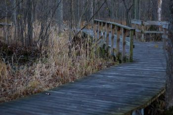 A controversial plan to build more than 100 luxury homes near Ann Arbor is drawing public backlash.