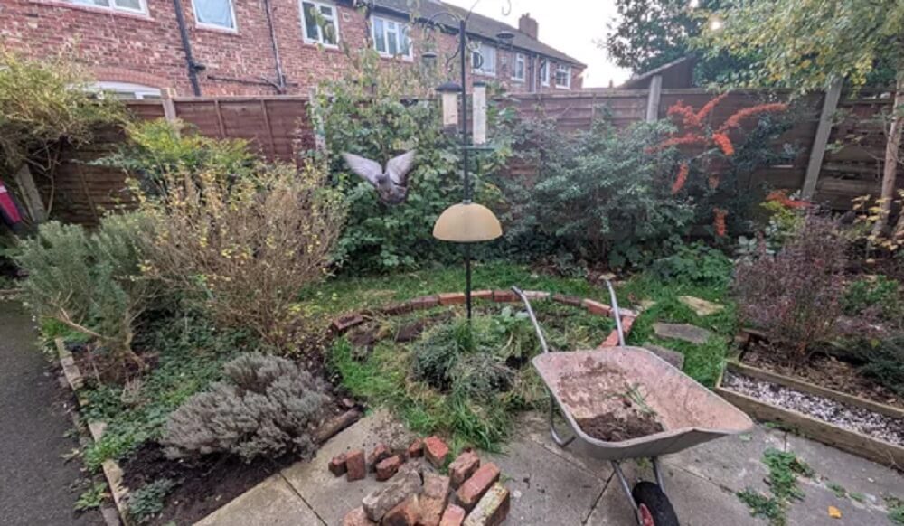 One Redditor revealed how they gradually transformed their yard into a beautiful natural lawn over five years.