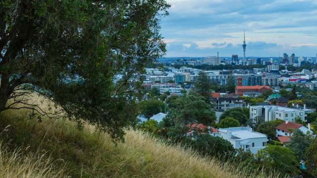 One female yellow-legged hornet was found in New Zealand, and officials are racing to prevent the invasive species from taking hold.