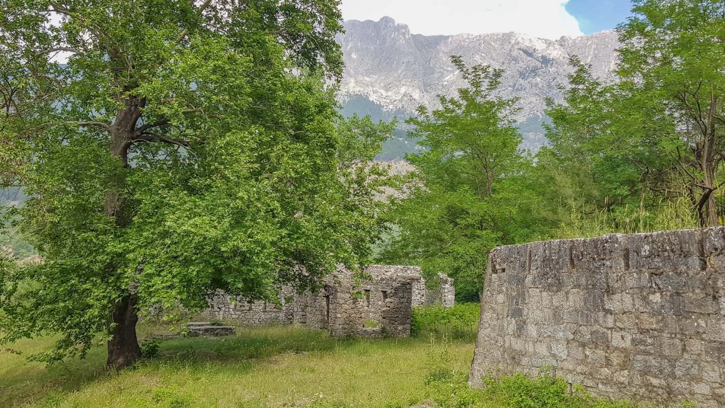 An endangered species of salamander was recently spotted in front of a home in Türkiye, confirming its continued presence and the health of the local ecosystem.