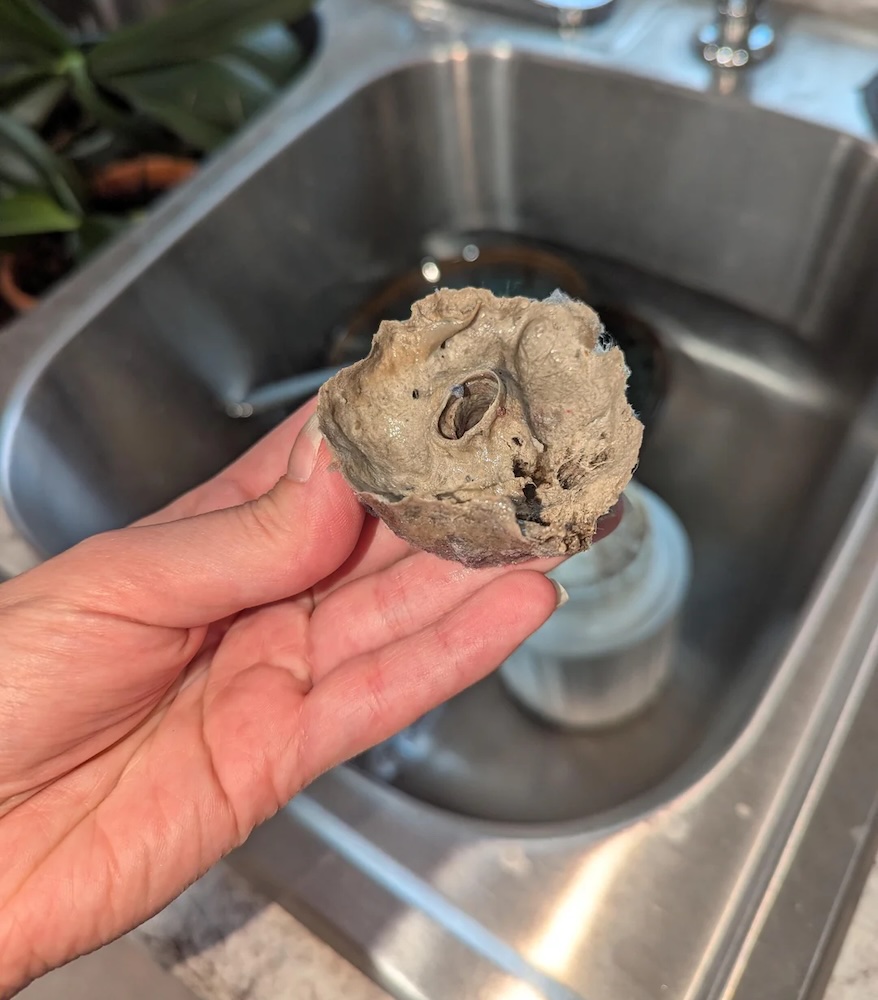 A Reddit post is warning about the gross effects of using fabric softener in your washing machine.