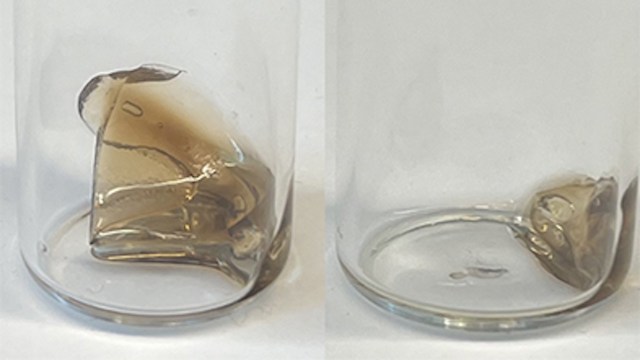 Researchers at Rutgers University published a study on self-destructing plastics in the journal Nature Chemistry on Nov. 28.