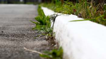 One Redditor shared a phenomenal roadside find, revealing how they picked up a daybed off the curb in Southwest Iowa.