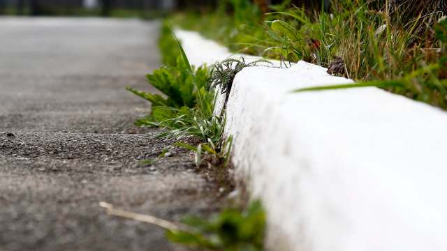 One Redditor shared a phenomenal roadside find, revealing how they picked up a daybed off the curb in Southwest Iowa.