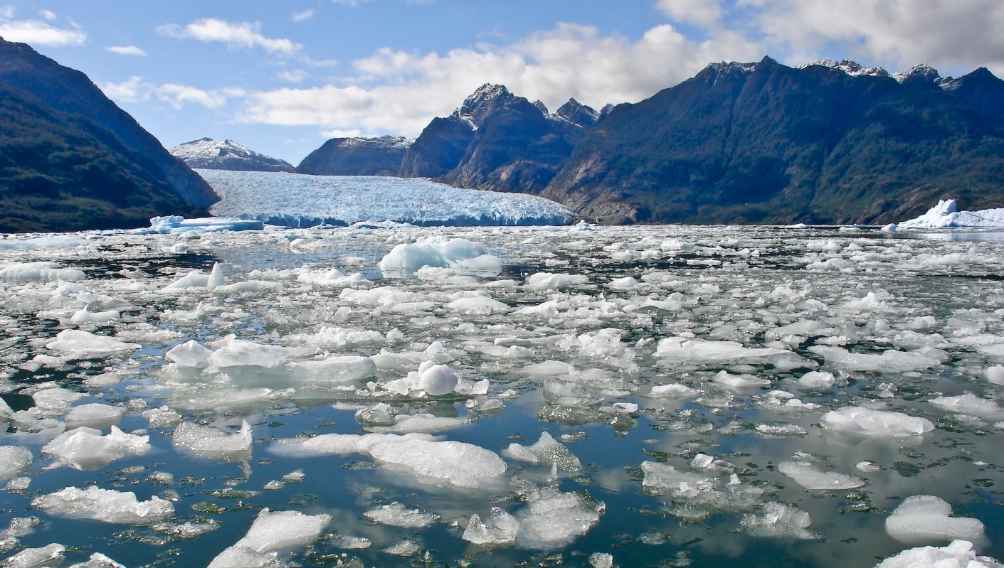Scientists found microplastics in an insect in Antarctica.
