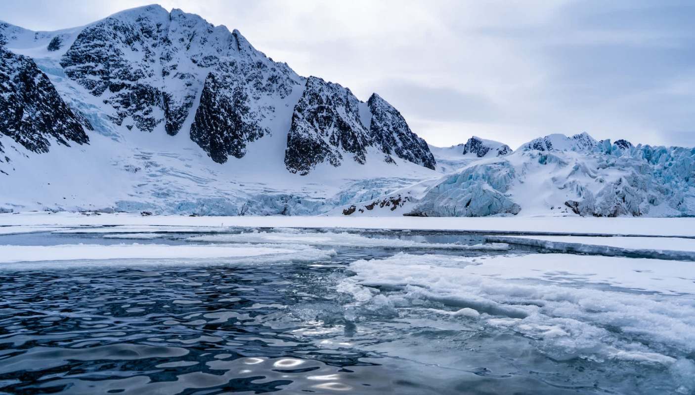 Arctic seals are in trouble as rapidly rising temperatures continue to decimate their sea ice habitats.