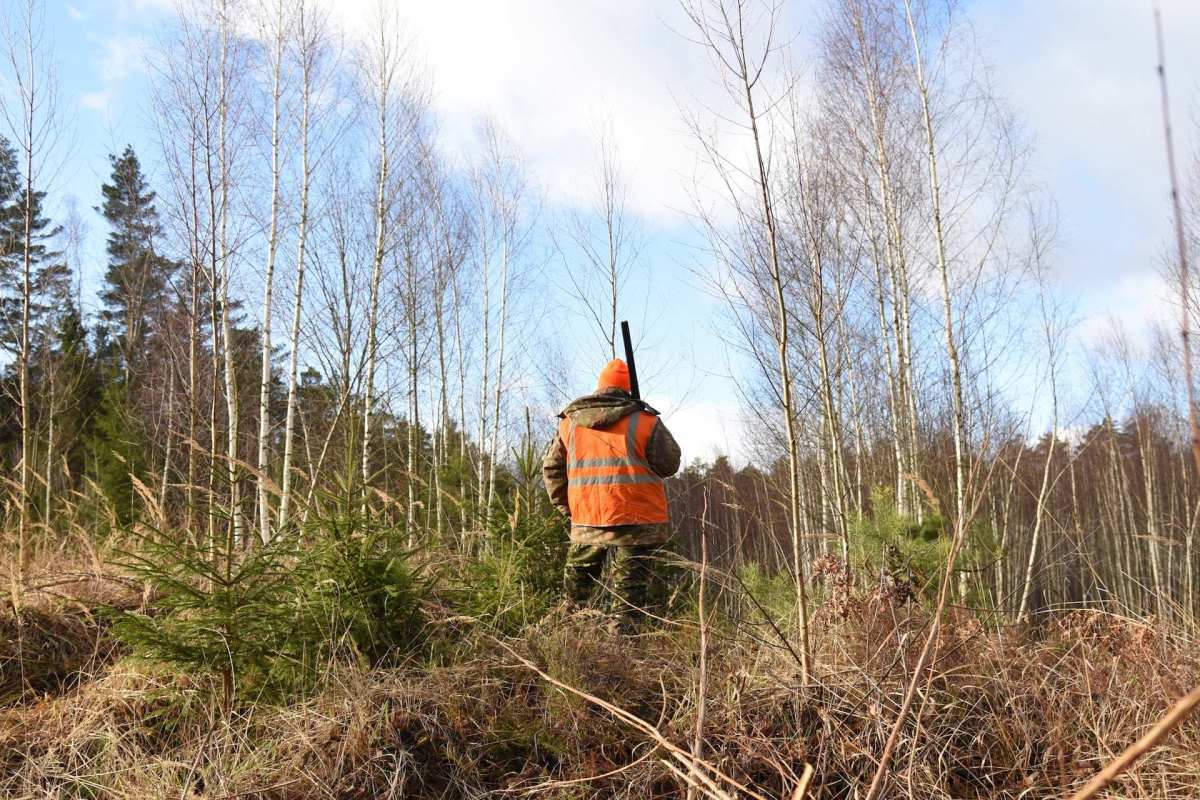 A Canadian woman was hit with big fines and a hunting license suspension after she was caught trafficking bear parts.