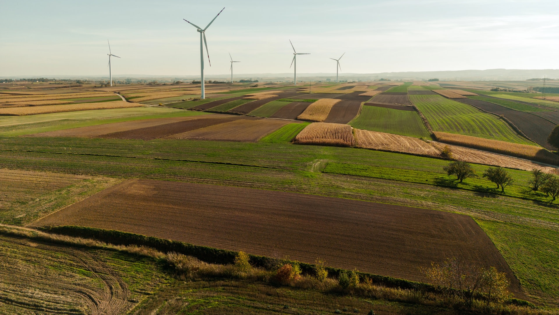 Farmer stunned after being targeted by 'manufactured fear' campaign: 'Every component of my life was attacked'