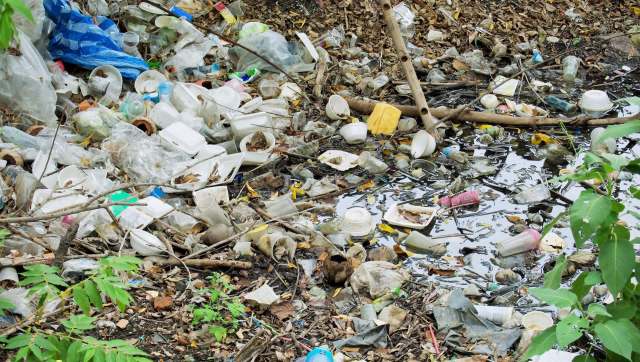 At the Balukhand-Konark Wildlife Sanctuary, blackbucks, one of the region's most iconic species, are dying from ingesting plastic waste.