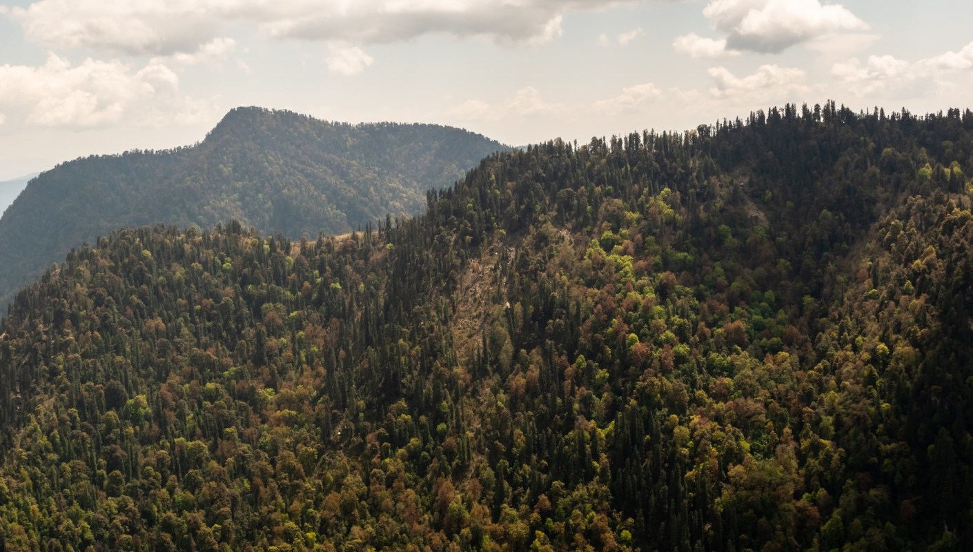 An out-of-place Bengal tiger was sighted at an altitude of over 9,875 feet in the Kumaon Himalayas.
