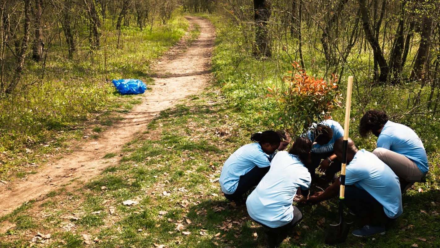 A North Carolina program is helping homeowners swap out smelly, invasive Bradford pear trees for free, native replacements.