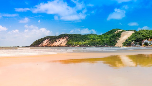 The controversy centers on Projeto Sucuriú, a new mill being built by Chilean forestry giant Arauco in the Cerrado.