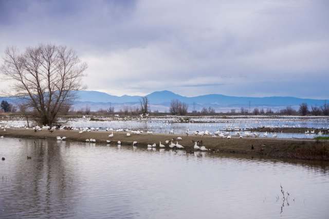 For the first time in more than two decades, California has reached a hopeful milestone — the entire state is officially free of drought.