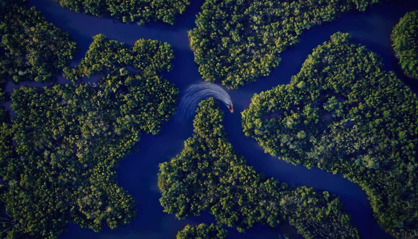 A wealthy developer just bought a huge chunk of land in Cape Coral, and now they're planning on building 3,500 new homes.