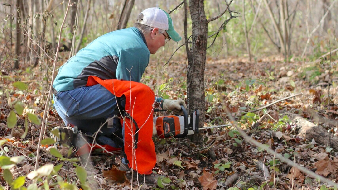 Michigan State University botanical technologist and graduate student Carolyn Miller has galvanized a group to manage the area's problem plants.