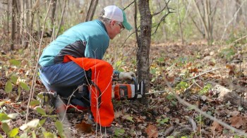 Michigan State University botanical technologist and graduate student Carolyn Miller has galvanized a group to manage the area's problem plants.