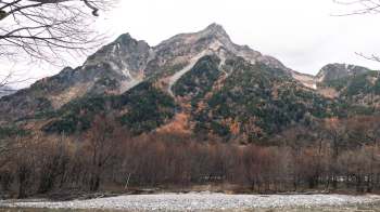 Researchers at the University of Tsukuba have recorded the song of the Chinese hwamei in the alpine zone of Mt. Kisokoma in Japan's Central Alps.