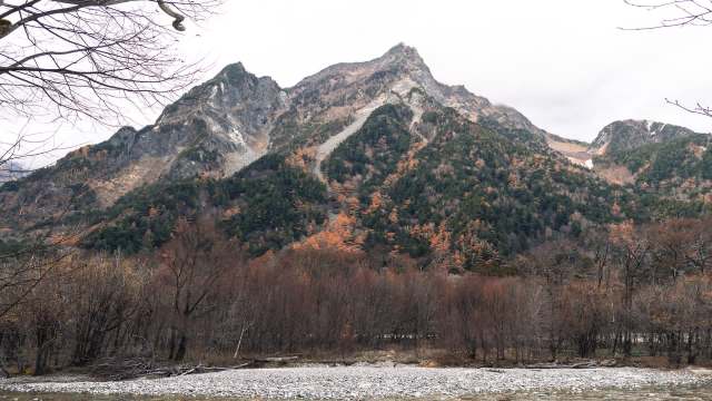 Researchers at the University of Tsukuba have recorded the song of the Chinese hwamei in the alpine zone of Mt. Kisokoma in Japan's Central Alps.