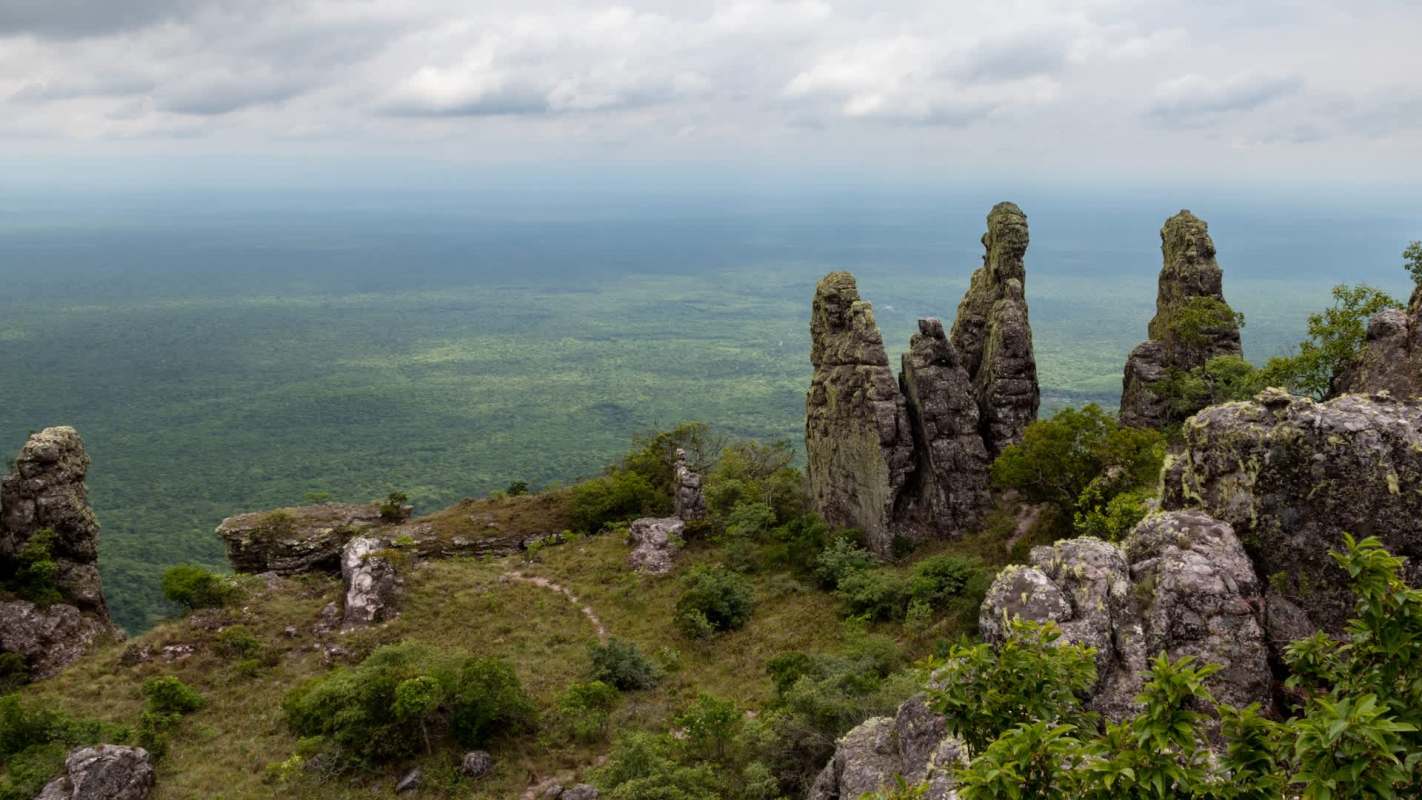 The Chiquitano dry forest in eastern Bolivia contains a 30,019-hectare parcel of land that used to be selectively logged for specific types of wood.