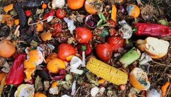 Cirrec, a part of the Faerch Group, is a waste management brand focusing on making food packaging fully circular.