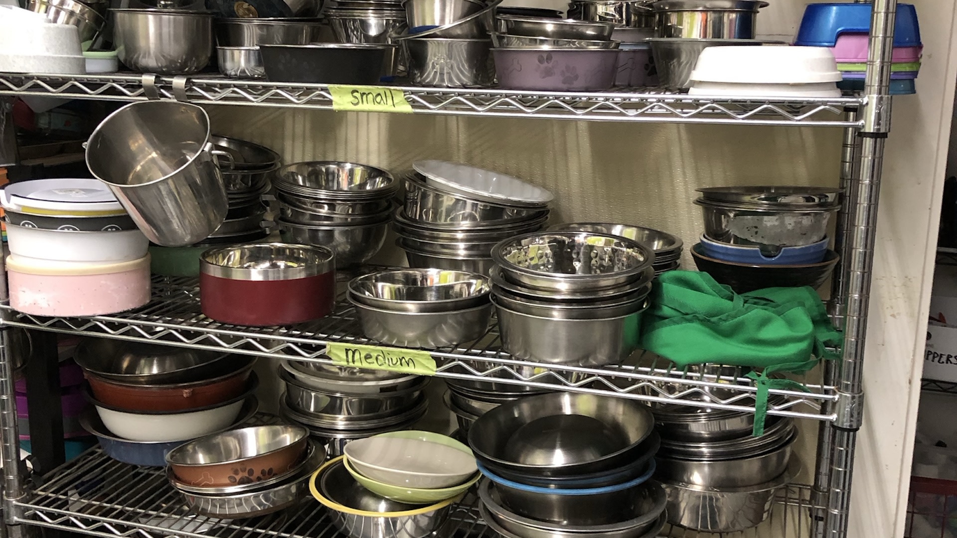 Customer sparks outrage with photo of bizarre sighting on thrift store shelf: 'These are not special'