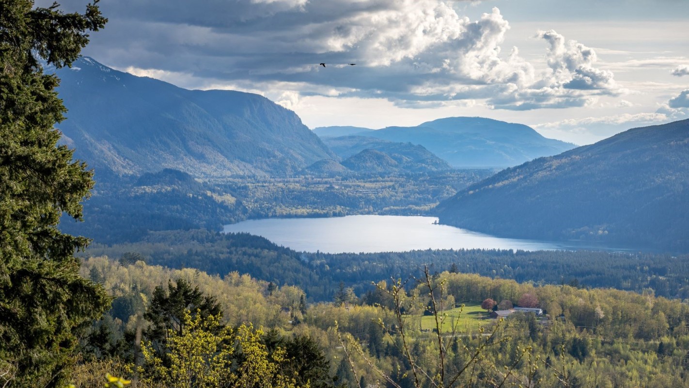 An invasive population of smallmouth bass has established itself in a lakefront area of Canada, threatening local populations of endangered salmon.