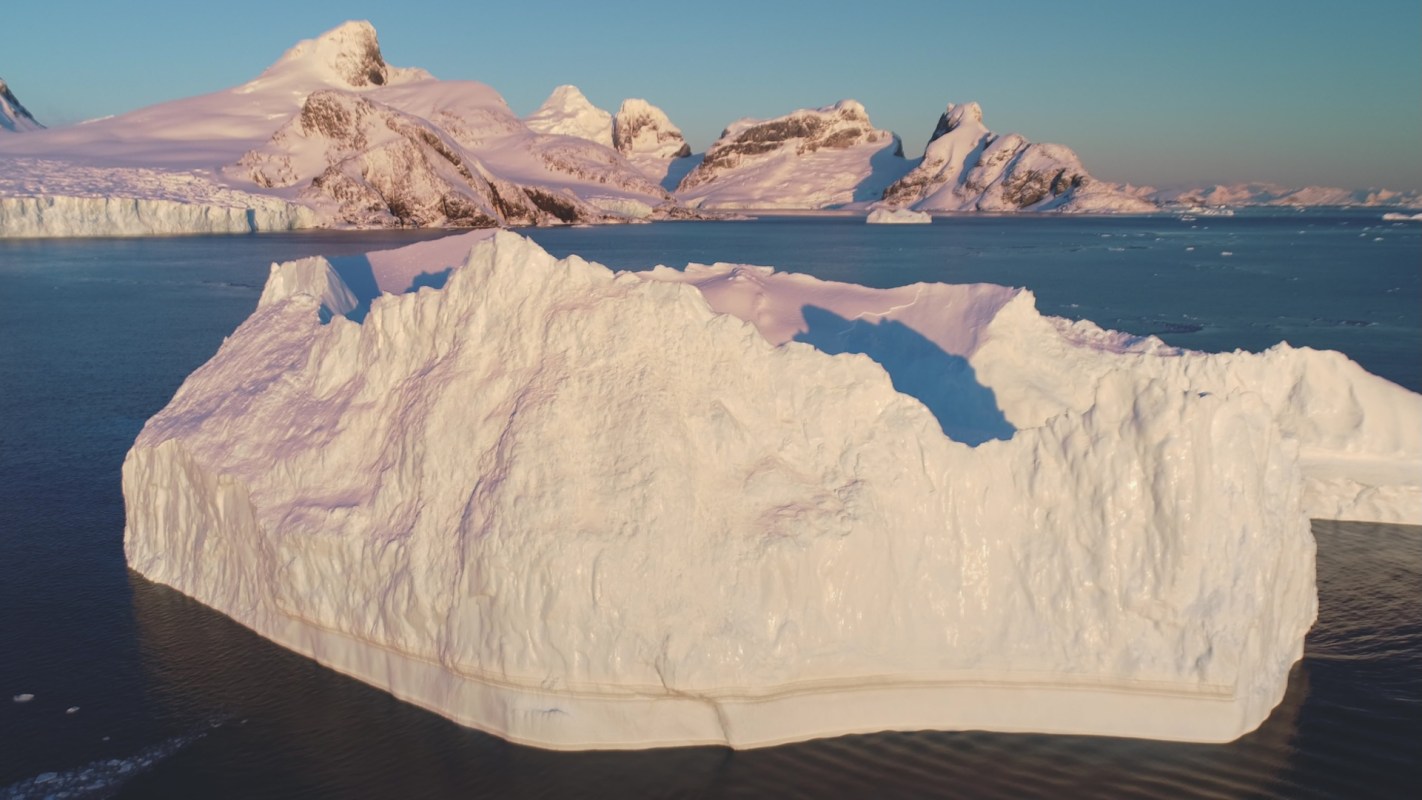 A catastrophic breeding failure unfolded this year after a massive iceberg blocked access to the largest known emperor penguin's colony.