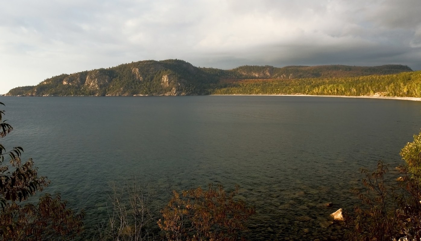 Invasive dreissenid mussels have been found in Black Bay on Lake Superior, alarming scientists and local officials who warn they could destabilize one of the region's most sensitive freshwater ecosystems.