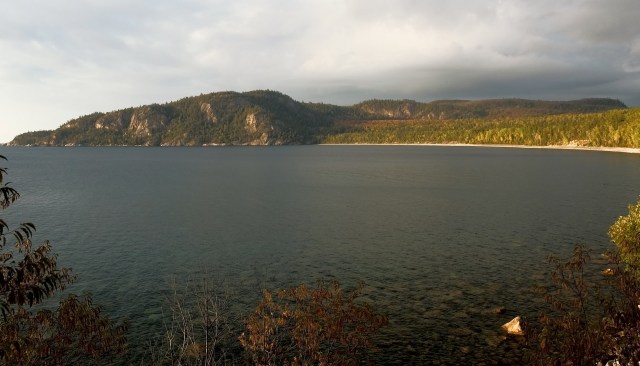 Invasive dreissenid mussels have been found in Black Bay on Lake Superior, alarming scientists and local officials who warn they could destabilize one of the region's most sensitive freshwater ecosystems.