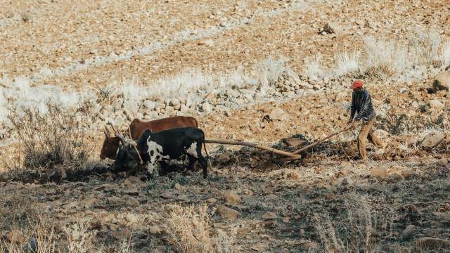The United Nations is sounding the alarm over the threat of a massive, growing drought in East Africa that is threatening multiple countries.