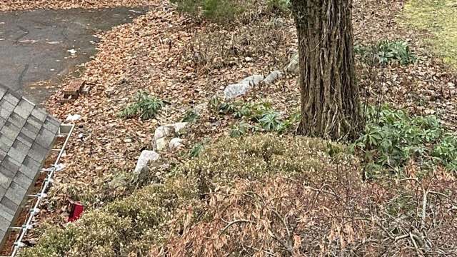 One homeowner's English ivy problem has prompted some grounding home maintenance advice from arborists in r/arborists.