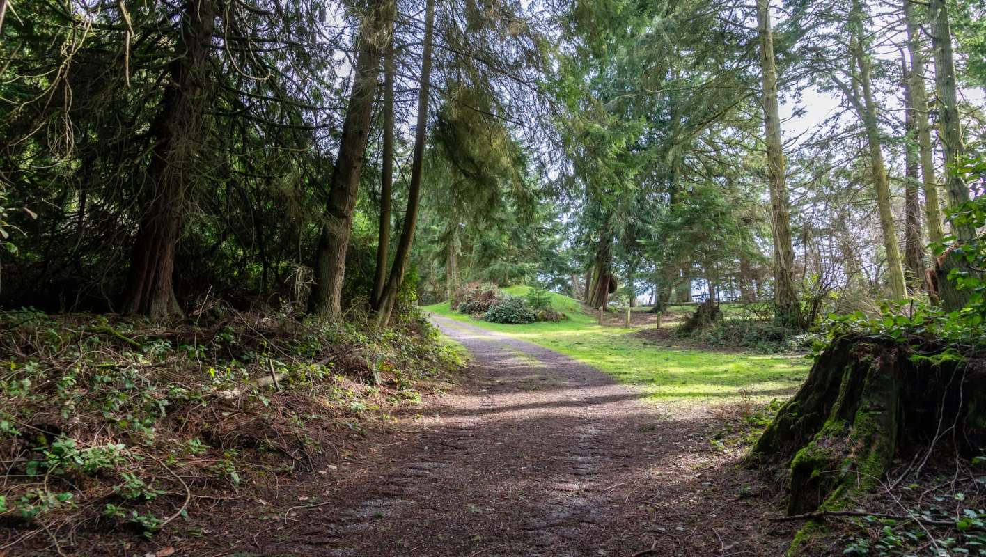The Galapagos rail, a small, mostly flightless bird, has returned to Floreana Island after being last recorded in 1835.