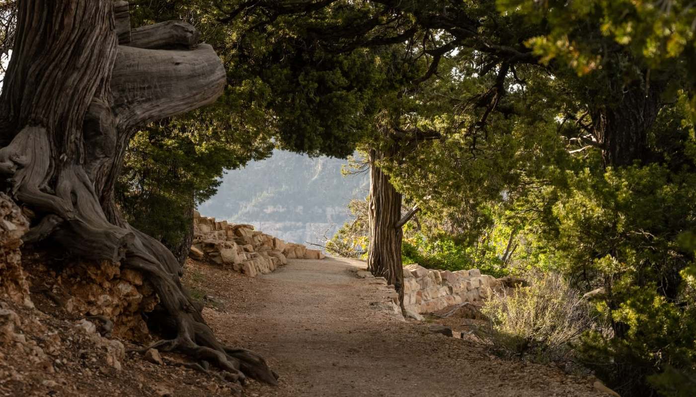 An Instagram account posted a video of a reckless human-wildlife encounter at Grand Canyon National Park getting close to a wild elk.