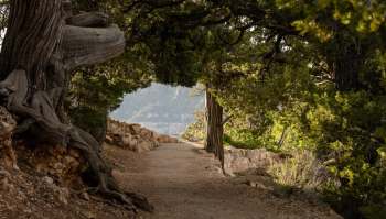 An Instagram account posted a video of a reckless human-wildlife encounter at Grand Canyon National Park getting close to a wild elk.