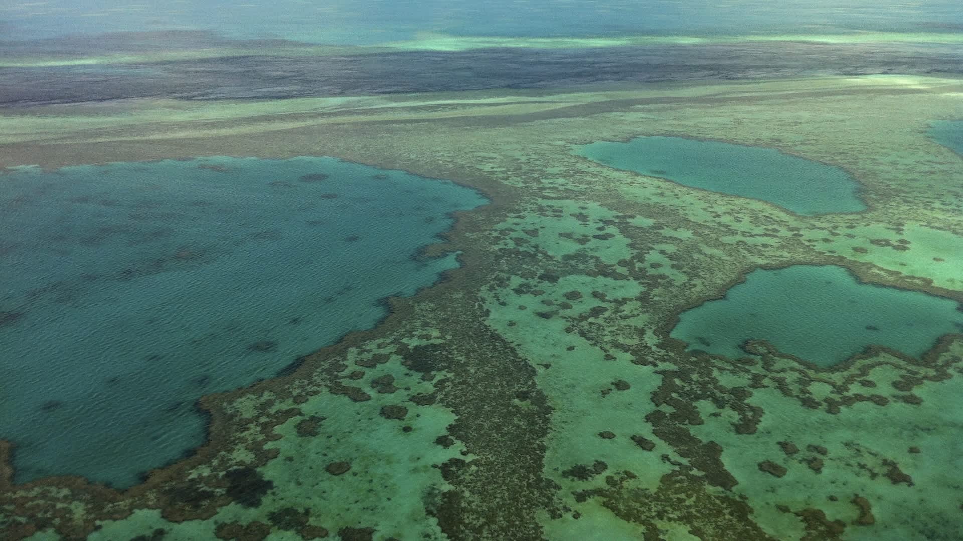 Researchers make stunning discovery while studying Great Barrier Reef: 'Major tipping point'