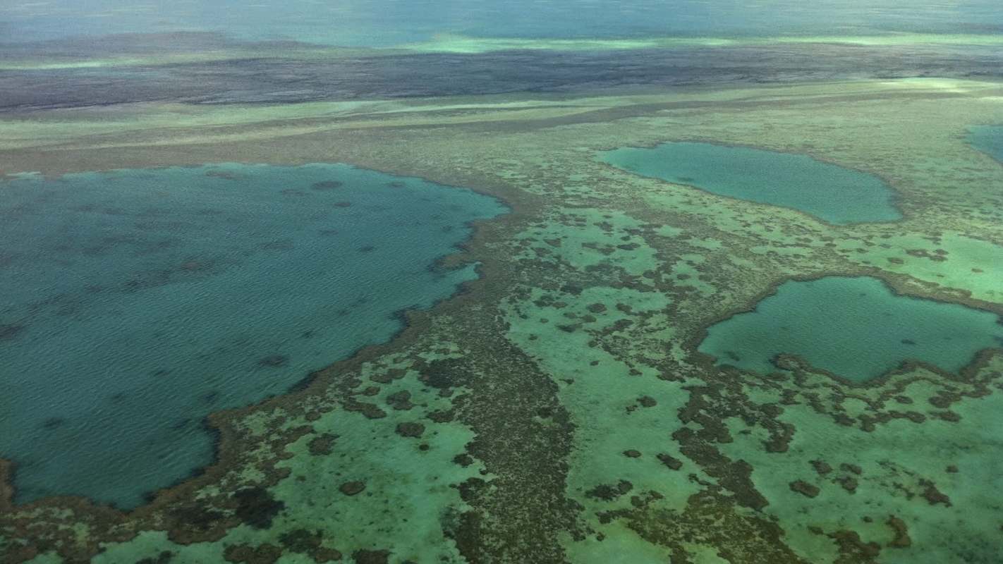A new study has determined that the success of measures to protect the Great Barrier Reef averted a potential major catastrophe.