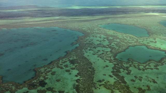 A new study has determined that the success of measures to protect the Great Barrier Reef averted a potential major catastrophe.