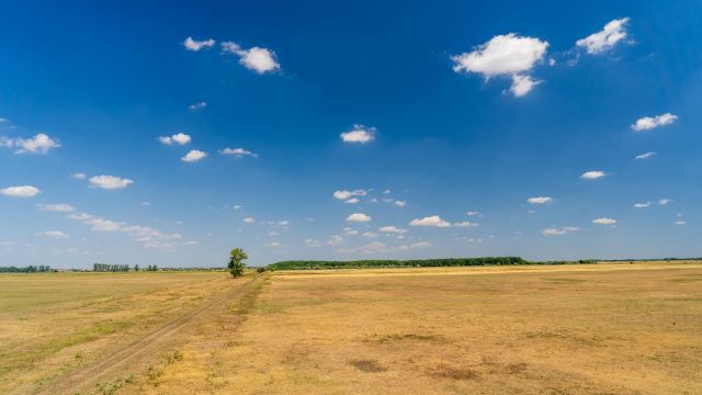 The Great Hungarian Plain — a 20,000-square-mile region in Hungary — has been suffering accelerated desertification.
