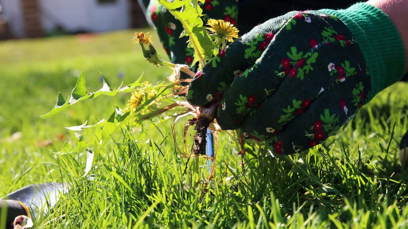 This homeowner fought back against their HOA's ridiculous demands and won.