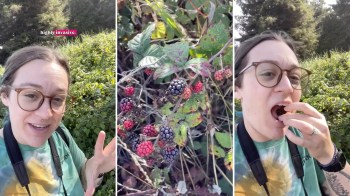One creator shared that eating Himalayan blackberries is a helpful way to mitigate the spread of the invasive species.
