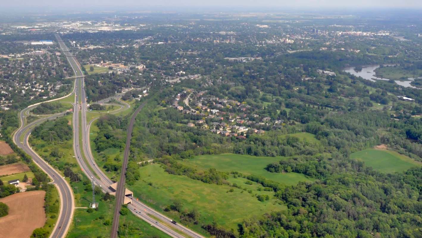 The Illinois Tick-Trefoil had not been seen in Canada in over 40 years — now, it has made an unexpected return.