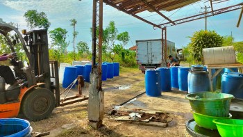 Indonesia is in the midst of its largest crackdown on illegal forest use in the country's history, targeting palm oil and mining companies.