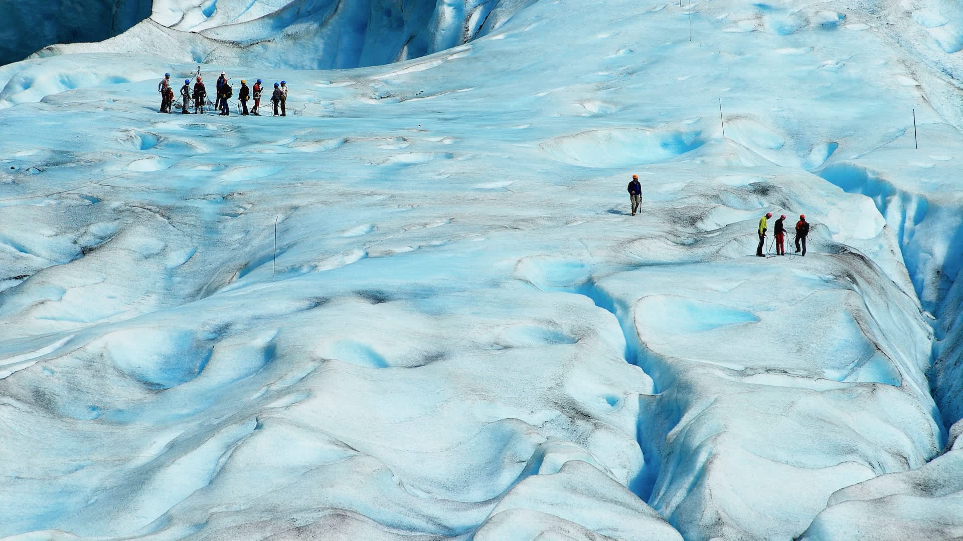 Researchers issue warning after making grim Arctic discovery: 'This will continue'