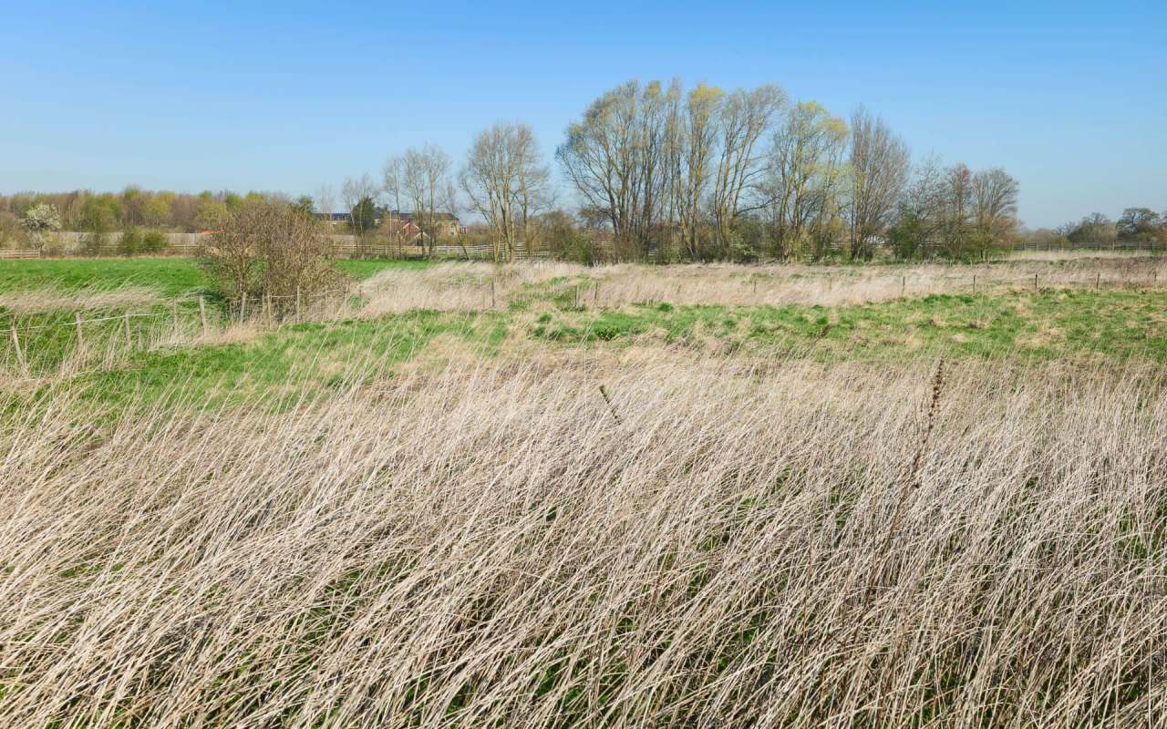 An unprecedented predator-proof fence on Kangaroo Island is keeping out feral cats and helping endangered species thrive.