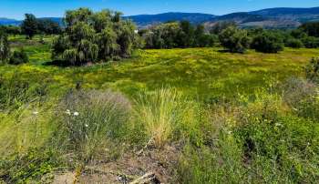 A woman in Kelowna, British Columbia, has given her 19-acre farm to a local conservation organization.