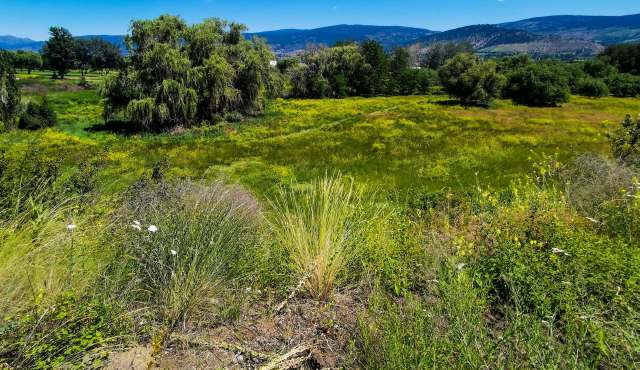A woman in Kelowna, British Columbia, has given her 19-acre farm to a local conservation organization.