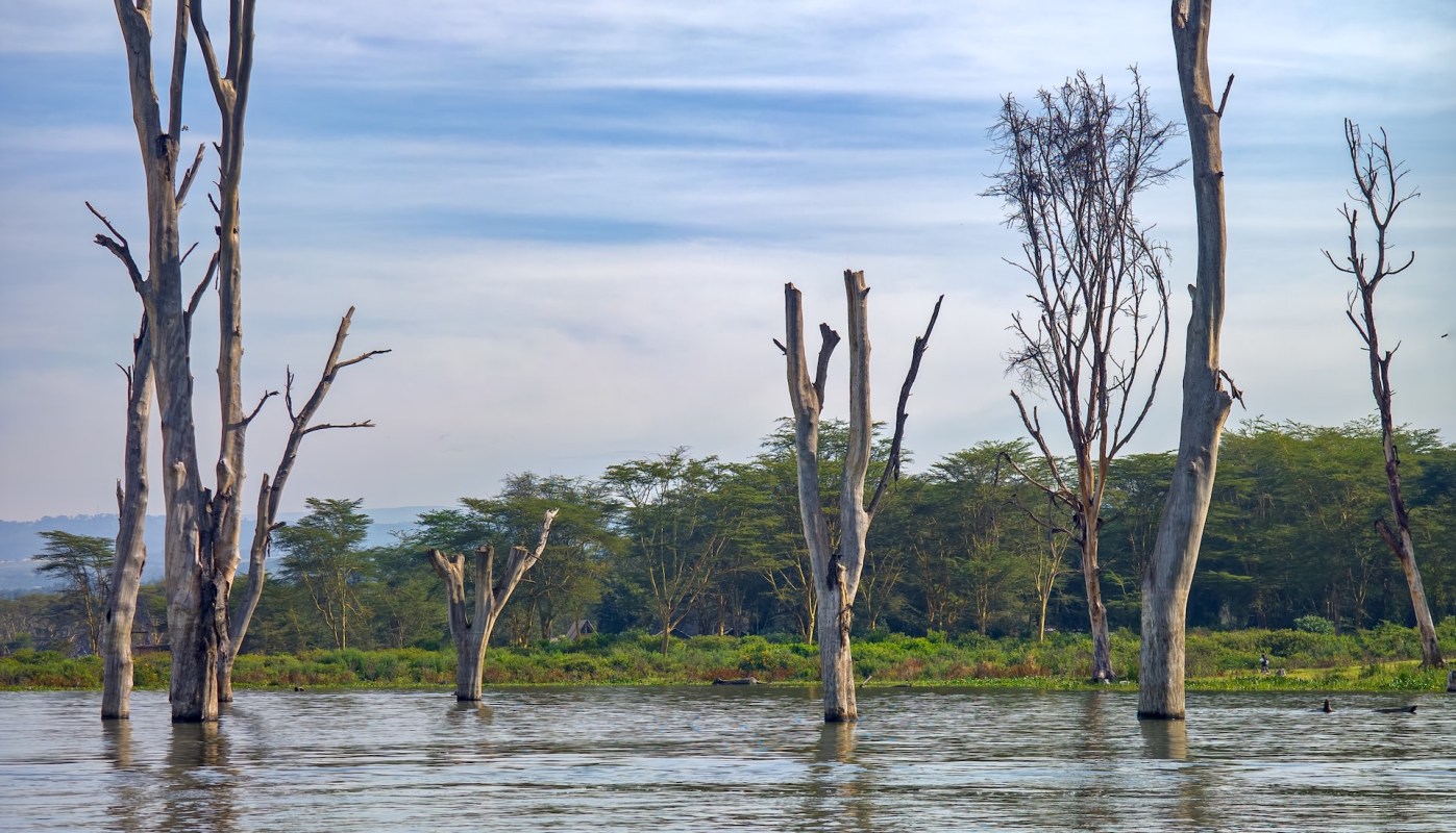 Kenya's lake levels are rising at historic rates, threatening local communities with potential displacement.