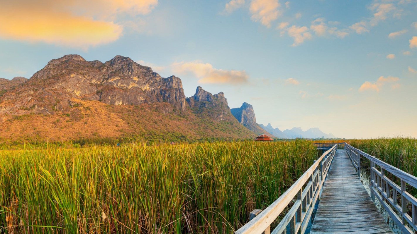 An elusive animal has made a surprise appearance in Thailand, according to Thaiger.