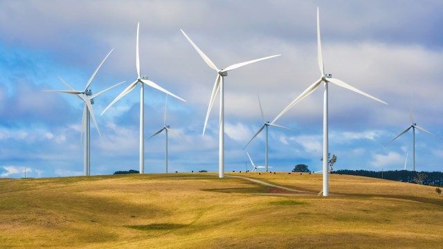 Researchers at the University of Surrey in England took cues from nature's birds of prey to design new fixed-wing drones.